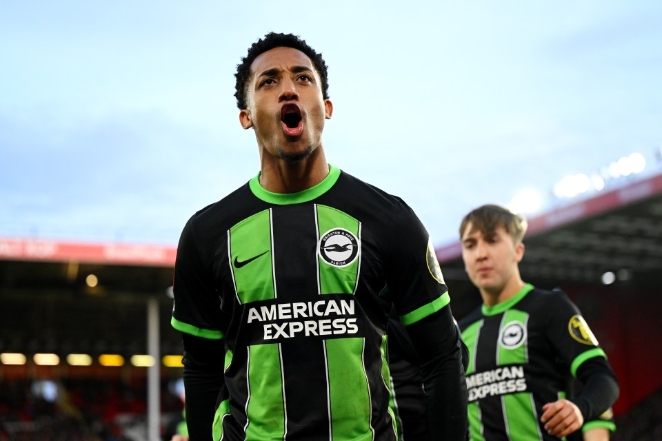Pedro has now spent six seasons in English football with Brighton and Watford