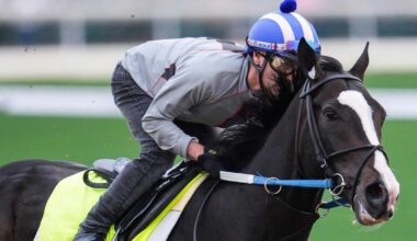 2025 Belmont Stakes horses, odds, entries, date: Expert who nailed Derby, Preakness gives picks, predictions
