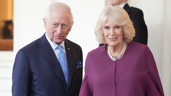 Queen Camilla Health Updates Amid King Charles' Cancer