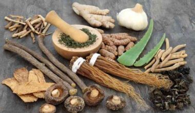 Going back to the roots: State acts to save healing herbs