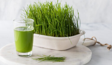 The Dark History Behind Drinking Wheatgrass