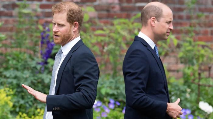 Prince William felt 'great sadness' after Harry's life-changing decision 