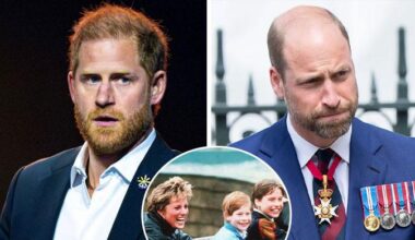 Prince Harry regrets joint decision with Prince William about mum Diana