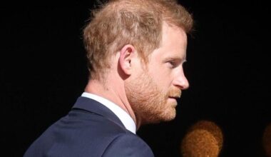 Prince Harry's new business plans raise concerns