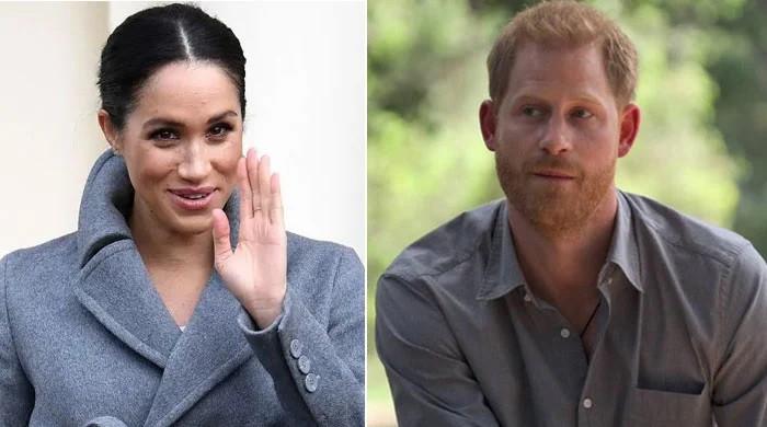 Meghan Markle's caught Prince Harry in her ‘dream' life