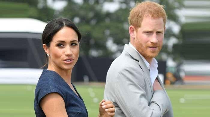 Meghan Markle ‘making money' is in Prince Harry's ‘interest': ‘He can do philanthropy'