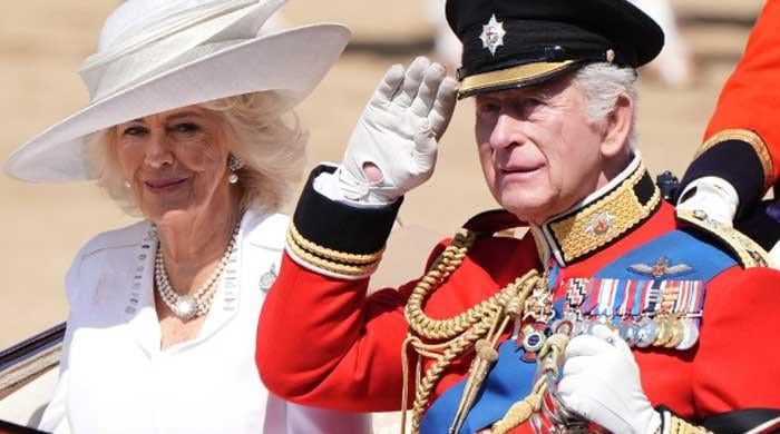 Protest held against King Charles, Prince William at Buckingham Palace