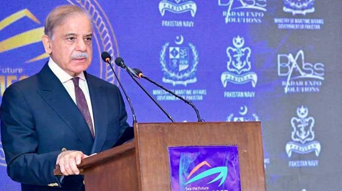 PM Shehbaz calls blue economy Pakistan's 'new economic frontier'