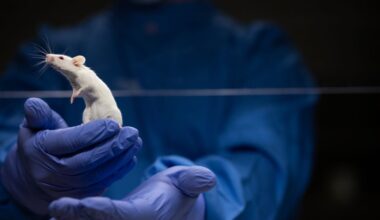 Scientists Put A Human "Language Gene" Into Mice And Curious Things Unfolded