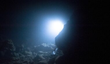 A New Predator Has Emerged From the Deepest, Darkest Part of the Ocean