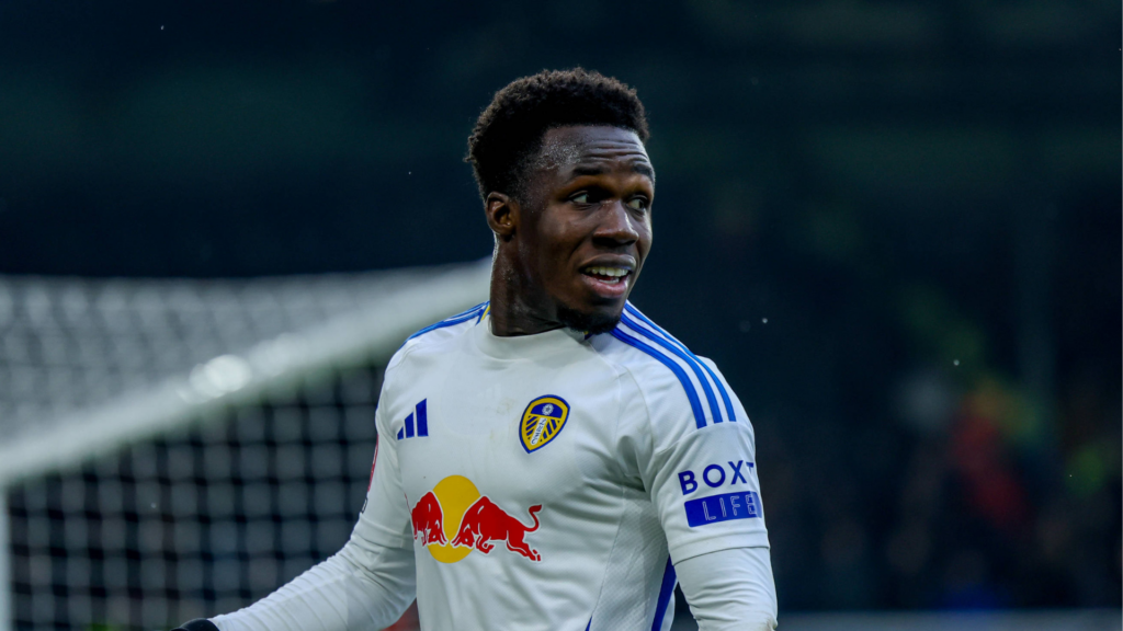 Willy Gnonto Leeds United