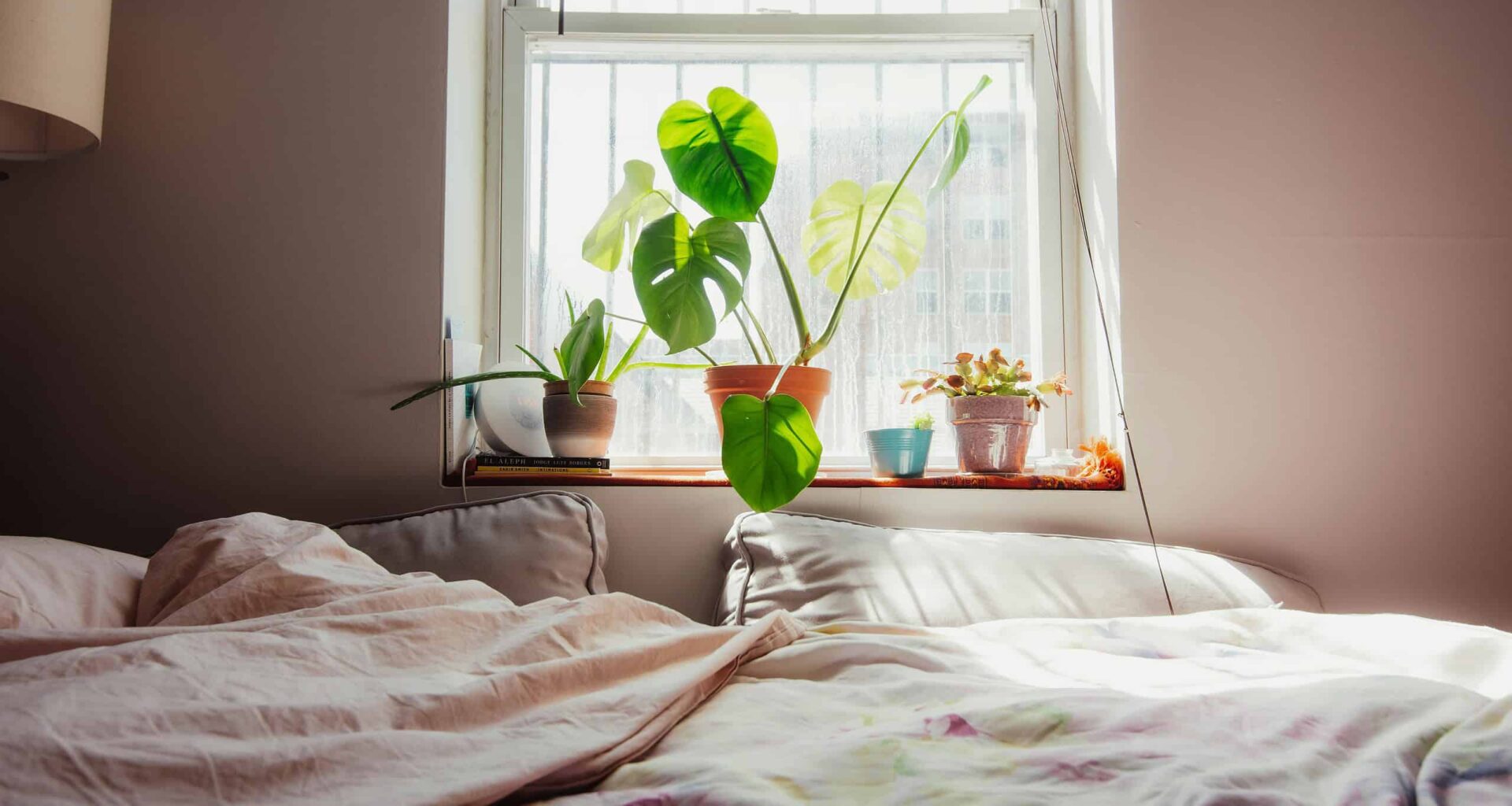 The Physics of Cozy Beds Shows Why Your Toes Freeze While Your Back Sweats