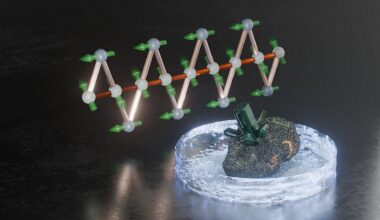 Magnetic frustration in atacamite triggers dramatic cooling when exposed to strong fields
