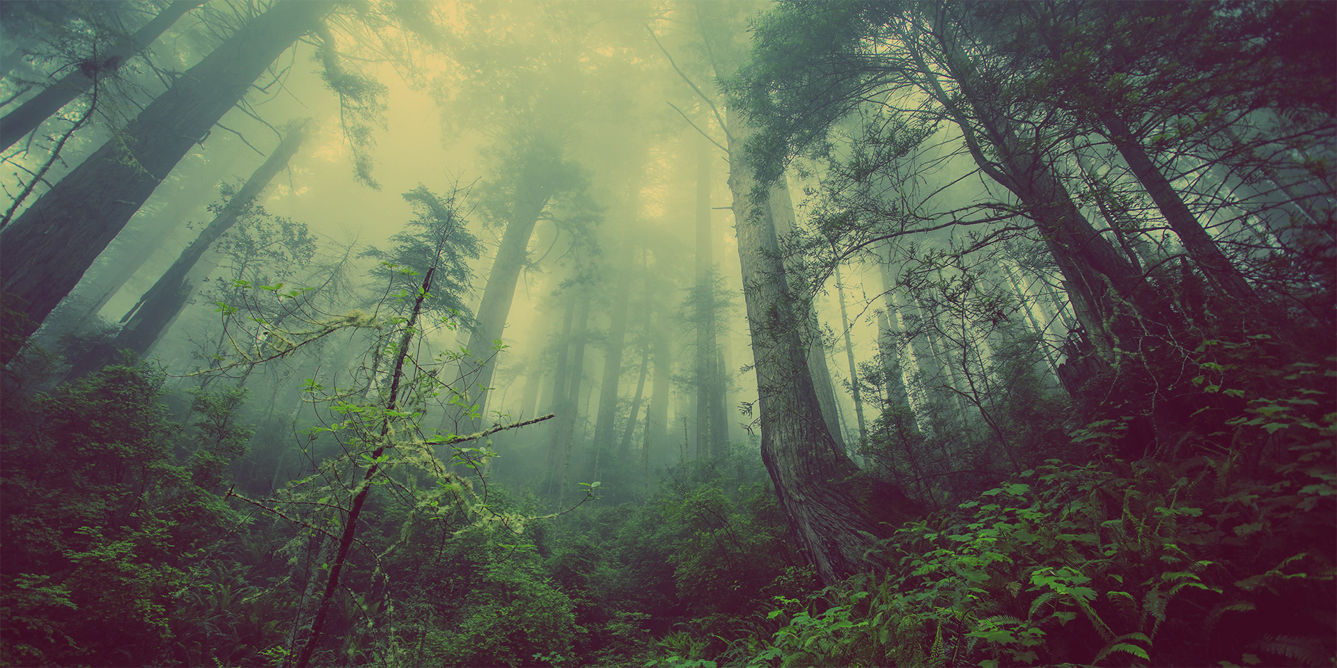 What is humidity and how does it affect human health?