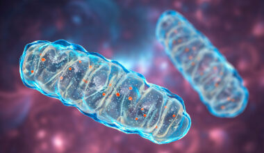 Inherited Genetic Differences May Predict Resistance to Immunotherapy in Metastatic Melanoma