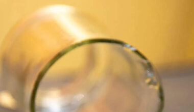 What is a contingency fund and why do you need one - The Economic Times