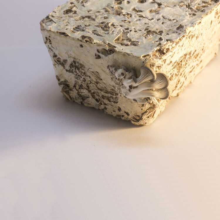 Nothing Is Lost, Everything Transforms: The Reusable Future of the Biennial’s Structures - Image 12 of 14