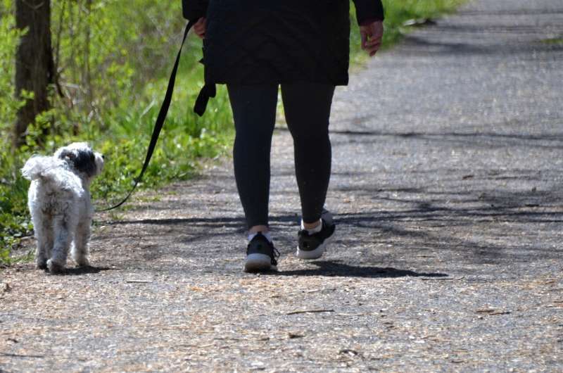 nature walk