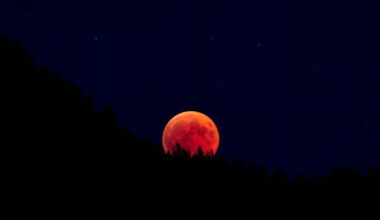 night red moon