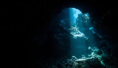It's official - the color of the ocean is changing due to climate change and could have devastating consequences