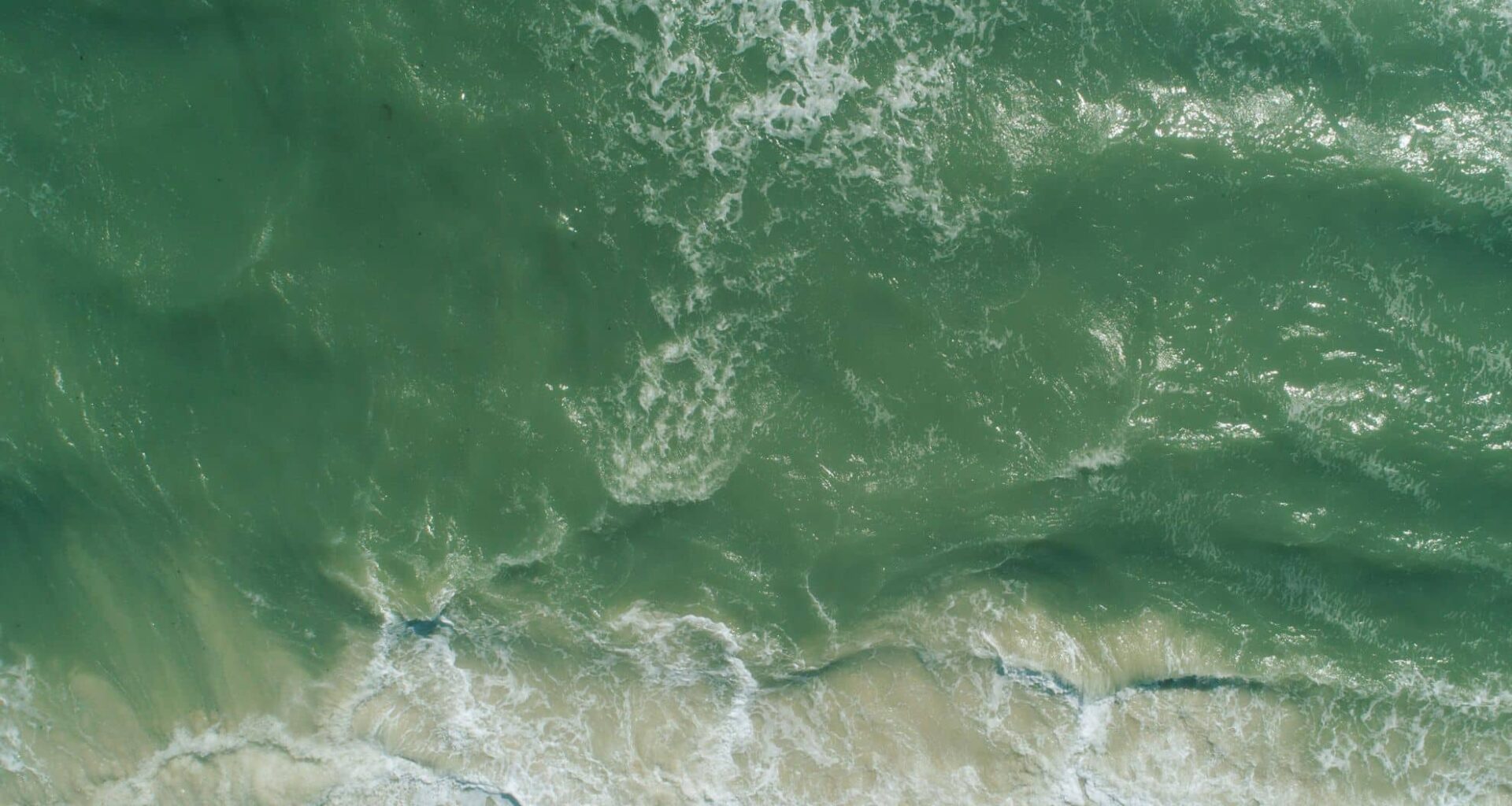 Ocean Color Is Changing Fast — And It’s Triggering A Massive Marine Shifts