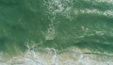 Ocean Color Is Changing Fast — And It’s Triggering A Massive Marine Shifts