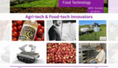 Innovation boost for Agri-tech & Food-tech in Mid and North Wales as local businesses receive support