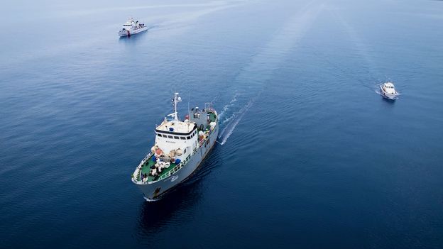 The web of illegal fish traps in Italy's Mediterranean