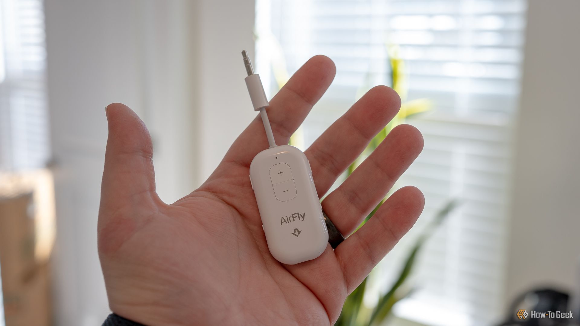 Person holding the Twelve South AirFly Pro 2.