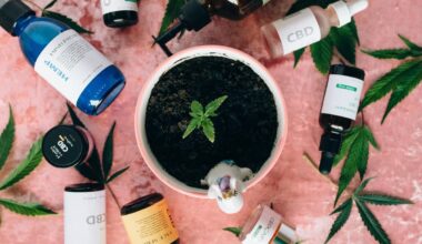 Obsessed with Ashwagandha? Try Shilajit, the Ayurvedic adaptogen to know