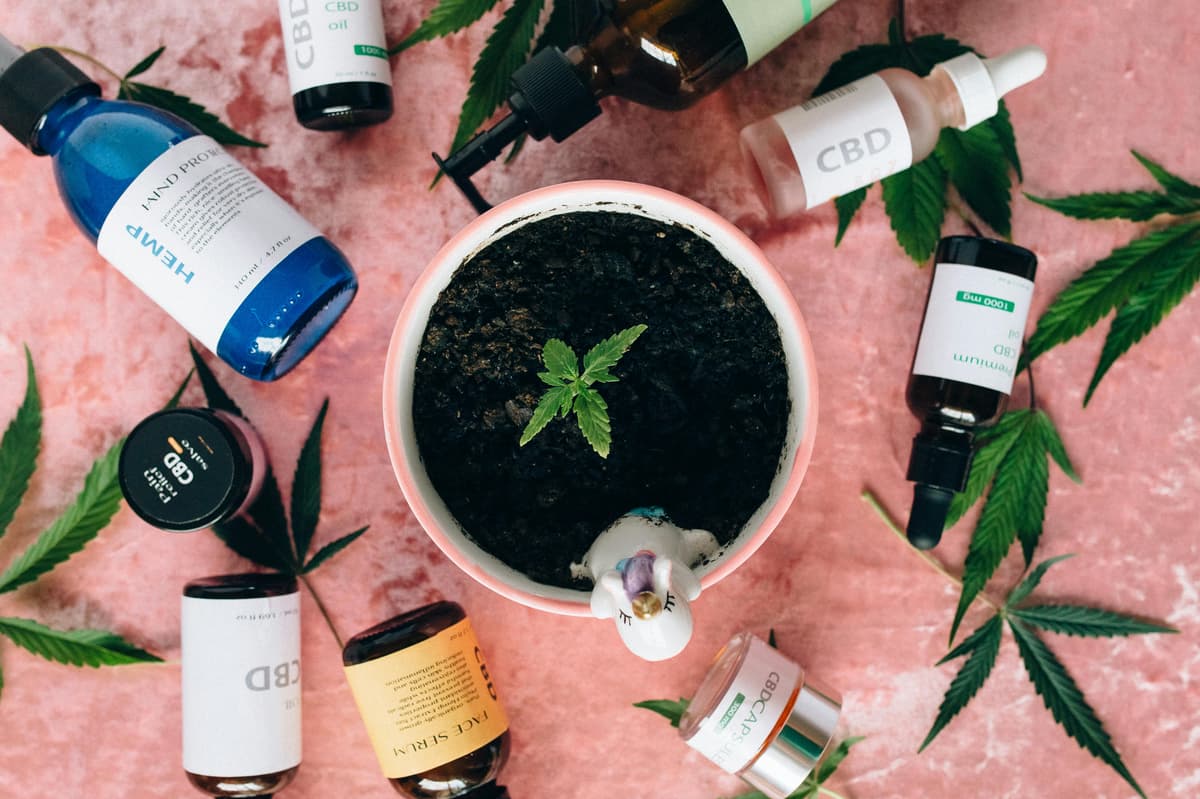 Obsessed with Ashwagandha? Try Shilajit, the Ayurvedic adaptogen to know