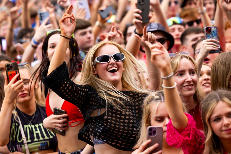 Crowd of people at a music festival.