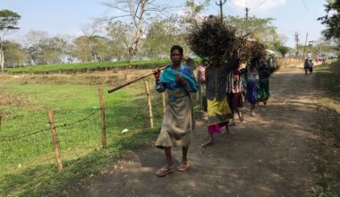 poverty, world bank, business, indian express