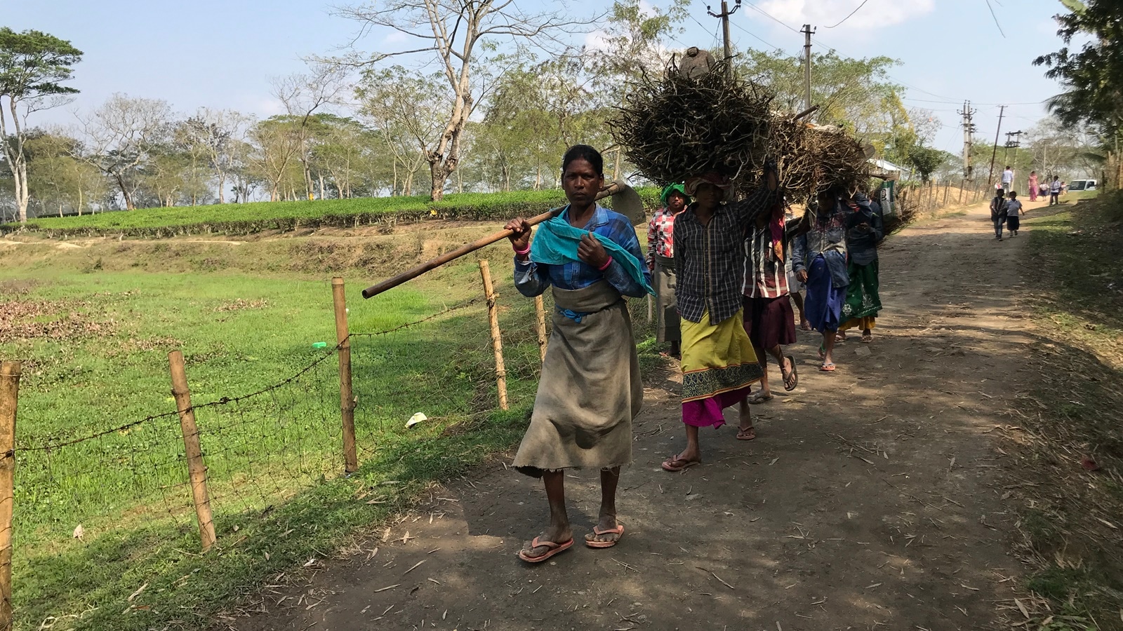 poverty, world bank, business, indian express