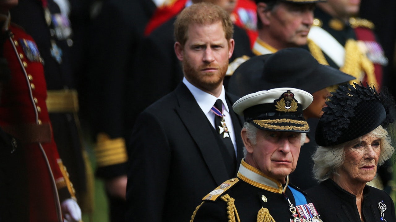 Queen Camilla won't intervene in King Charles and Prince Harry's rift: experts