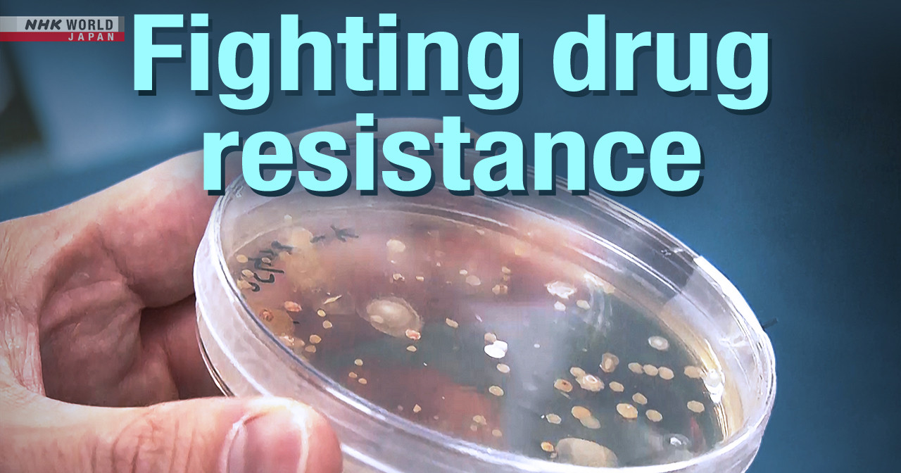 Scientists from Japan and the UK join forces to fight drug resistances that affect the efficacy of antibiotics