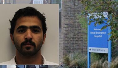 Qatari camel herder tried to rape woman in London heart clinic while being treated