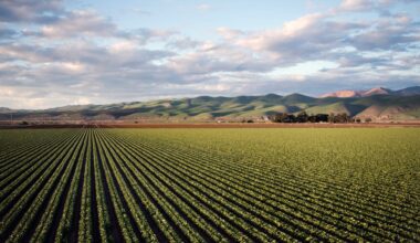 Quantum Computing: The Next Revolution in Precision Agriculture?