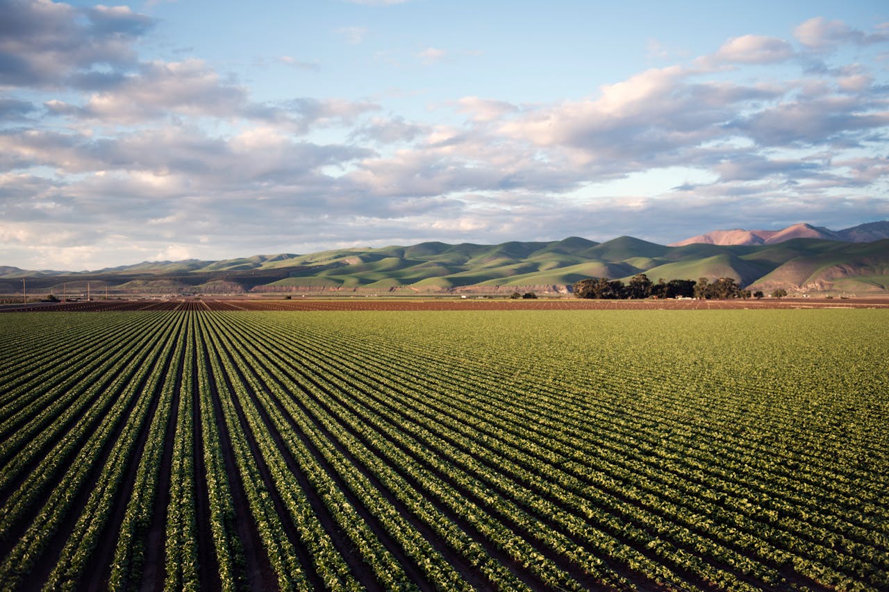 Quantum Computing: The Next Revolution in Precision Agriculture?