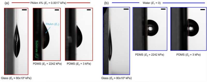 Redefining physics to roll a ball vertically | Waterloo News