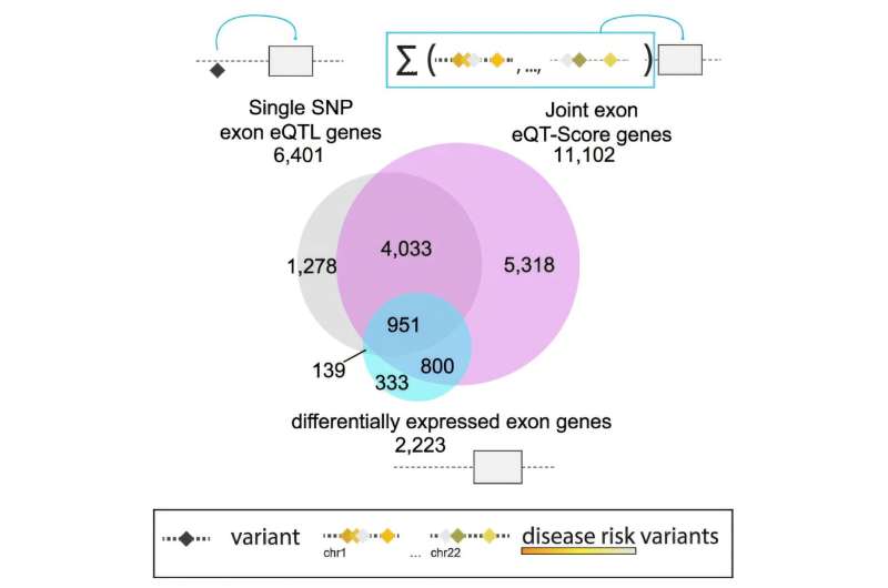 Researchers identify biological mechanisms shared across psychiatric disorders