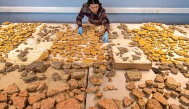 2,000-year-old wall paintings unearthed in ‘Beverly Hills of Roman London’