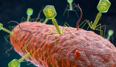 Helping bring phage medicines to UK patients – guidance for industry