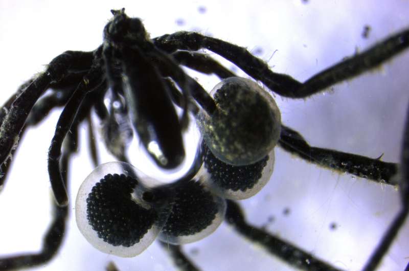 Saturday Citations: Genetic toggles, undersea farmers and exploding rockets