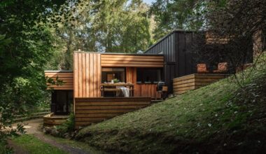 Secluded Modernist Gem Nestled in Scotland’s Enchanting Woodland