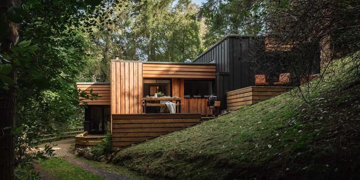 Secluded Modernist Gem Nestled in Scotland’s Enchanting Woodland