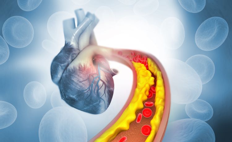Eli Lilly cardiovascular
