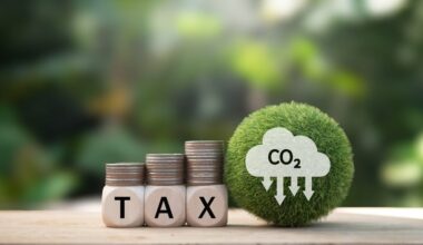 How Carbon Markets Hit Over $100 Billion