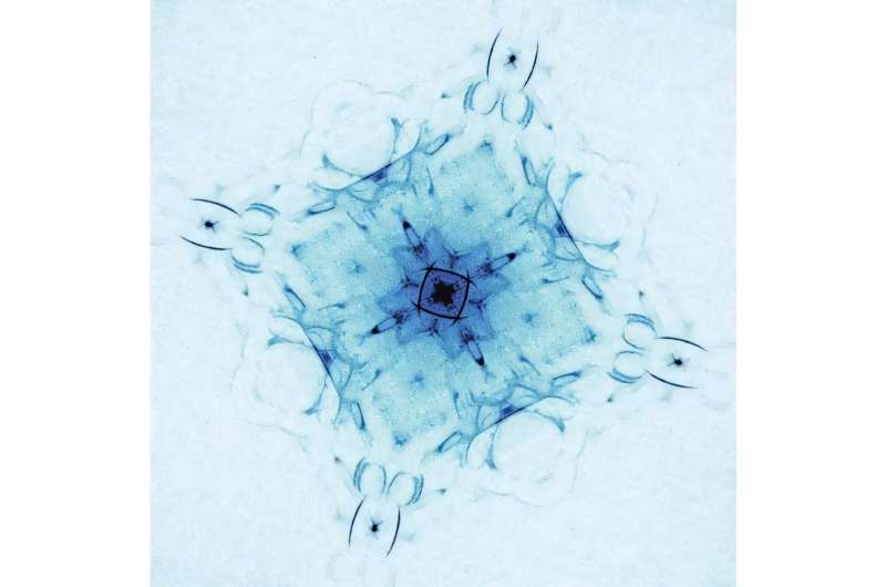 Spontaneous symmetry breaking in electron systems proves elusive