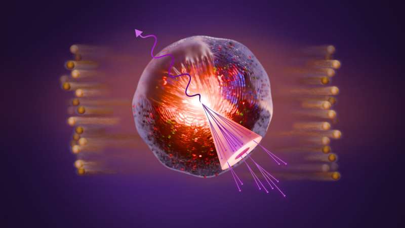 STAR data reveal 'Splash' of the quark-gluon plasma